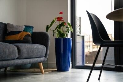 Cylindrus Fine (Gloss Finish)