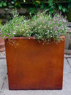 Cube Planter (Natural and Matt Finish)