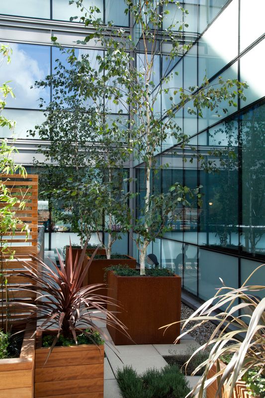 Corten Steel Cube Planter