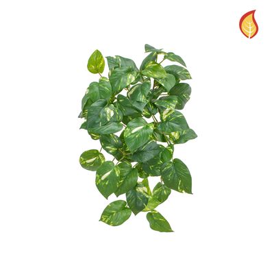 Artificial Pothos Bush Variegated 51cm F (Box of 6) Artificial Pothos Bush Variegated 51cm F (Box of 6)