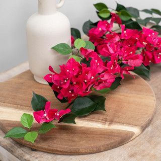 Artificial Bougainvillea Fuchsia or Purple 83cm  (Box of 6)