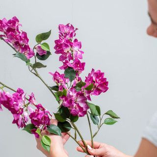 Artificial Bougainvillea Foliage 83cm (Box of 6)