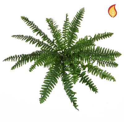 Artificial Boston Fern Bush 48cm (Box of 6)