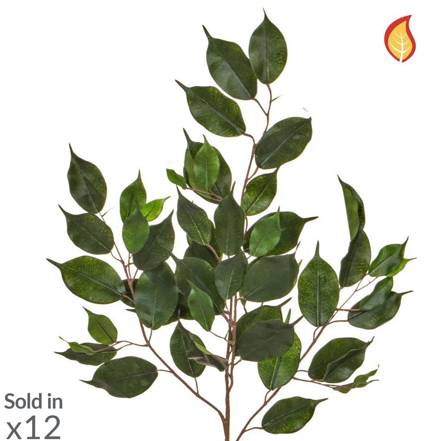 Artificial Ficus Exotica Foliage (Box of 12)