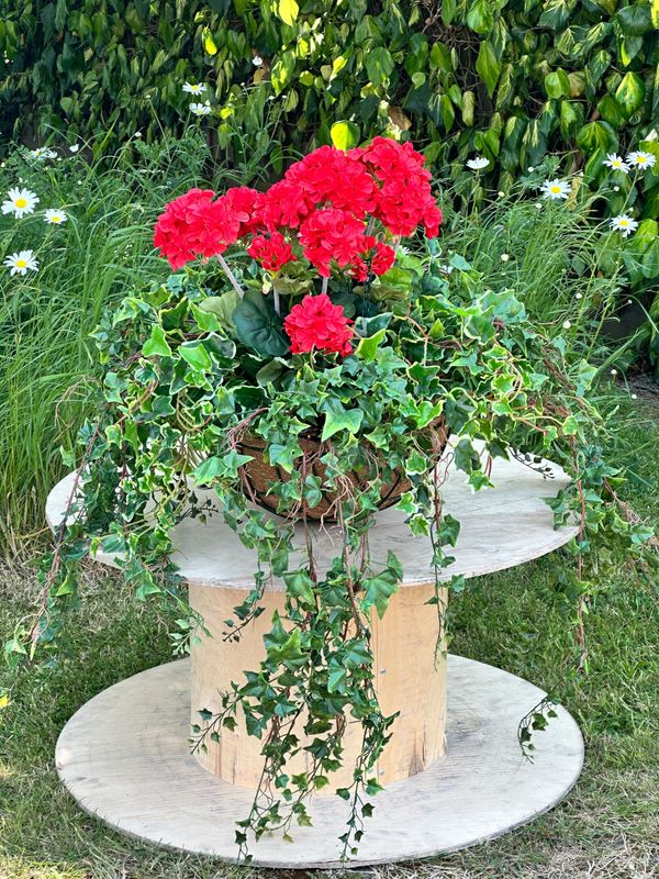 Bespoke Deluxe Hanging Baskets (POA)