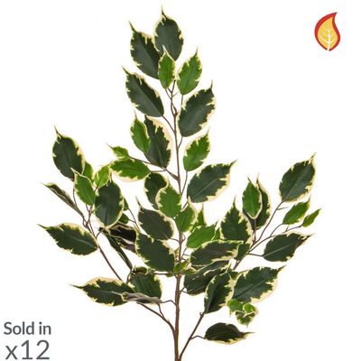 Artificial Ficus Exotica Foliage Variegated (Box of 12)