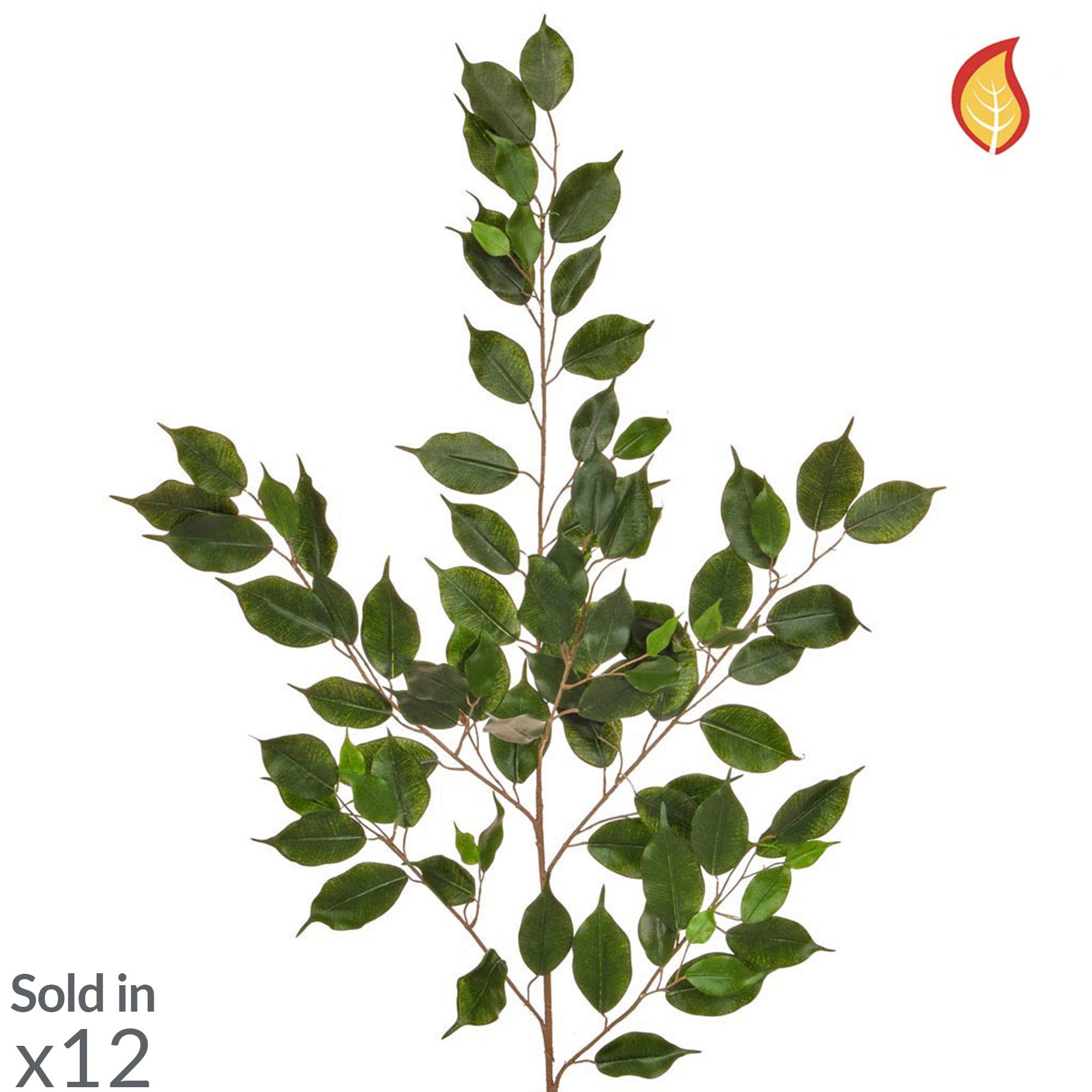 Artificial Ficus Exotica Foliage (Box of 12)