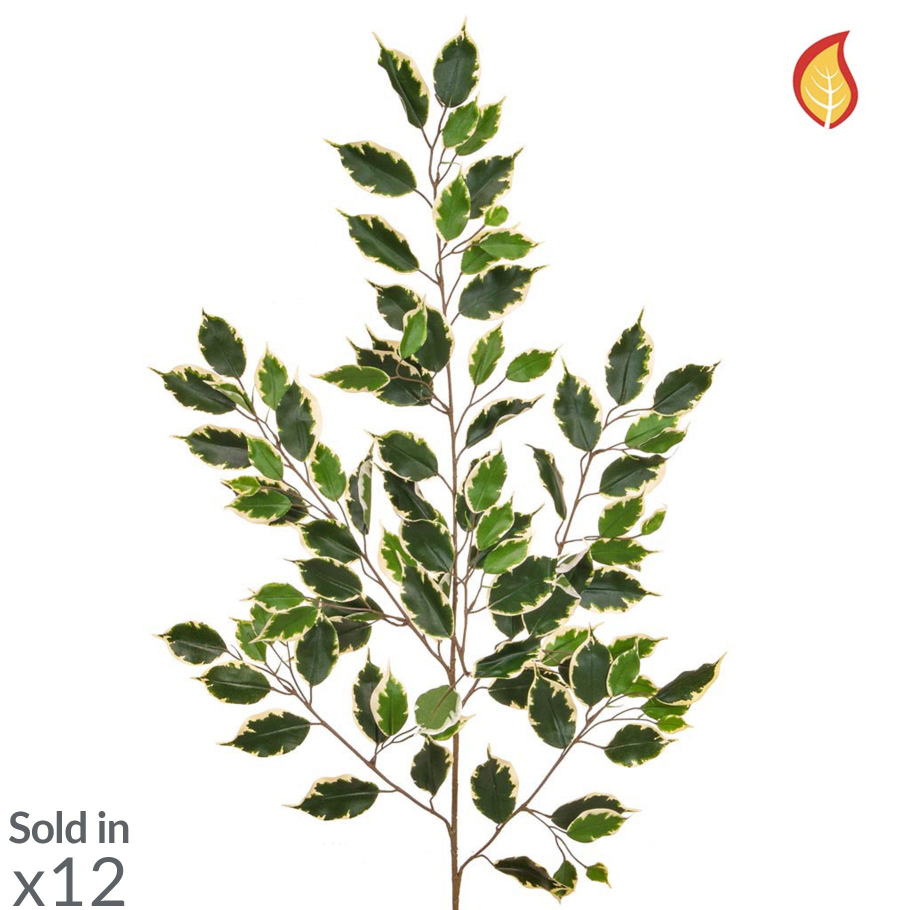 Artificial Ficus Exotica Foliage Variegated (Box of 12)