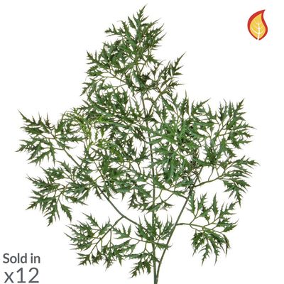 Artificial Ming Aralia Foliage 72cm (Box of 12)