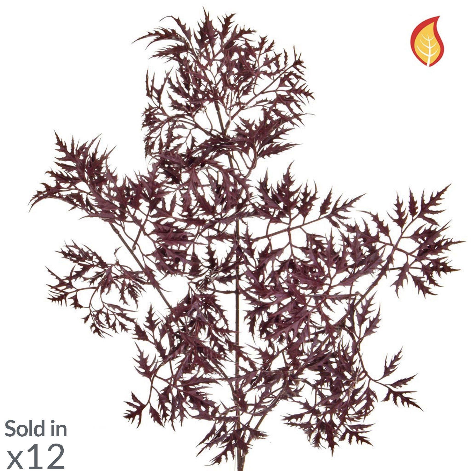 Artificial Ming Aralia Foliage 72cm (Box of 12)