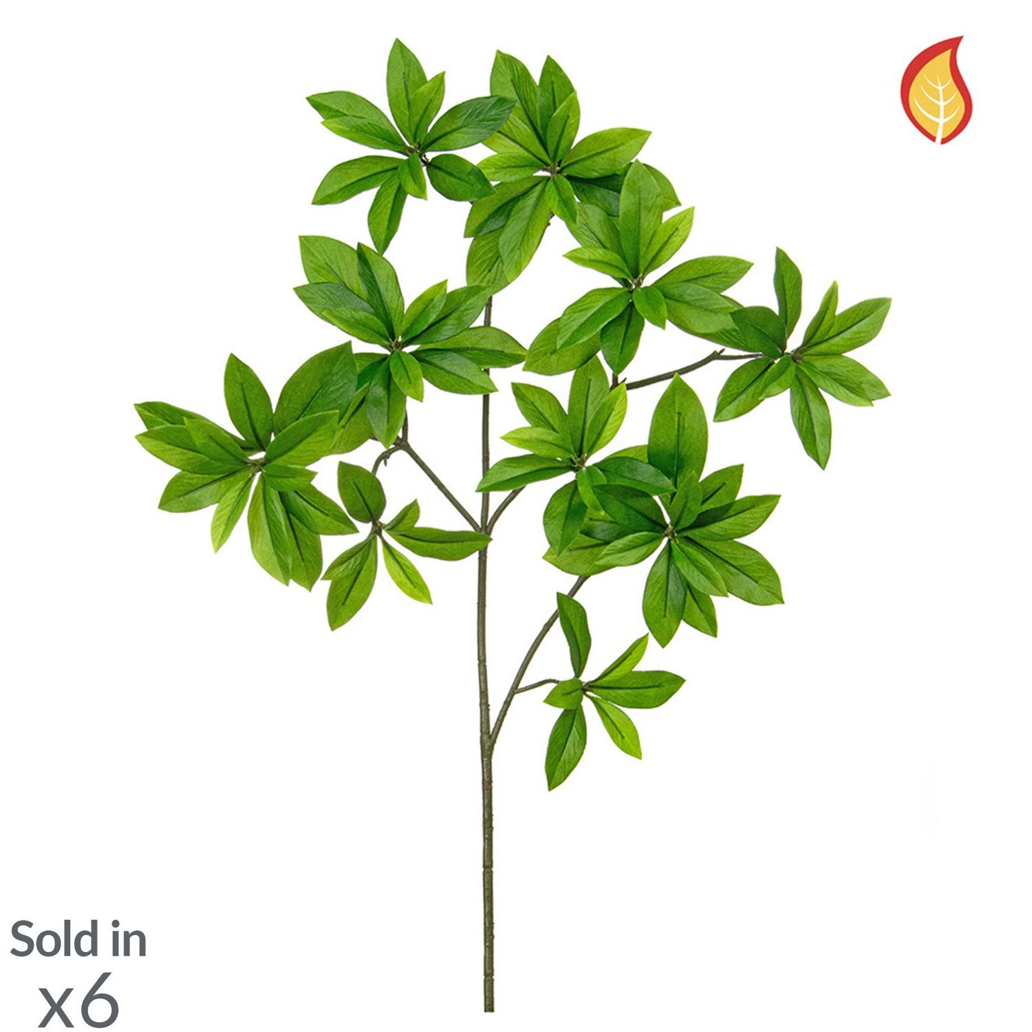 Artificial Euonymus Japonicus 55cm(Box of 6)