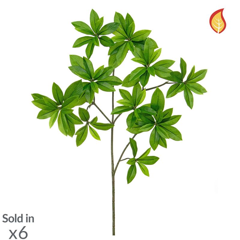 Artificial Euonymus Japonicus 55cm(Box of 6)