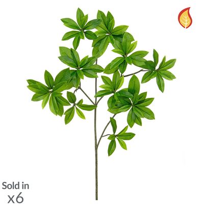 Artificial Euonymus Japonicus 55cm(Box of 6)