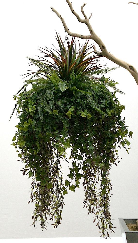 Deluxe Foliage Hanging Basket Deluxe Foliage Hanging Basket