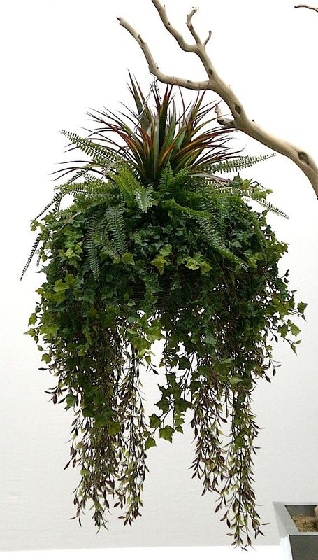 Deluxe Foliage Hanging Basket