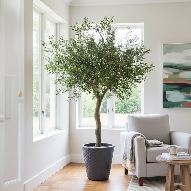 FIRE RETARDANT TREES & PALMS