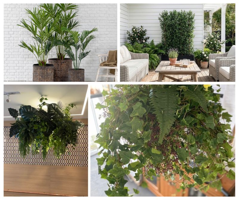 Ready-Made Hanging Baskets & Planter Displays