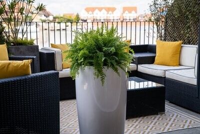 Cylindrus Planter