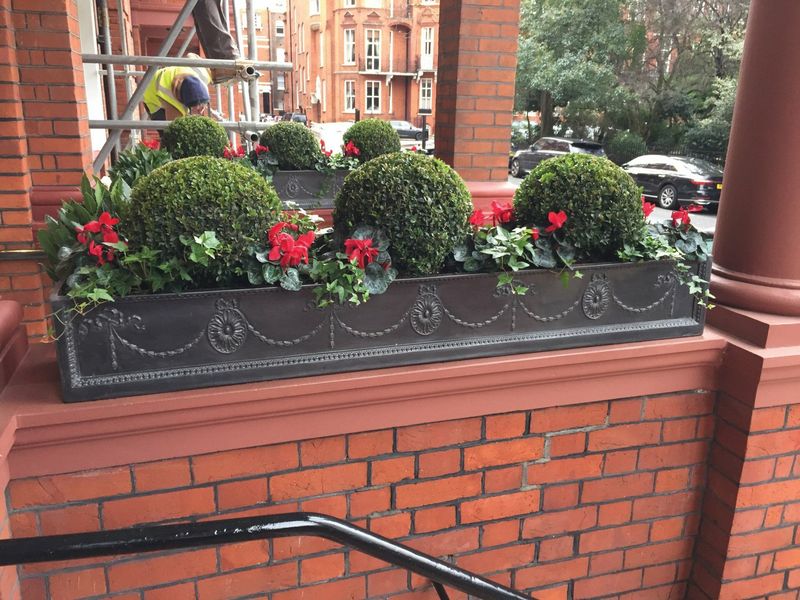 Adam Window Box