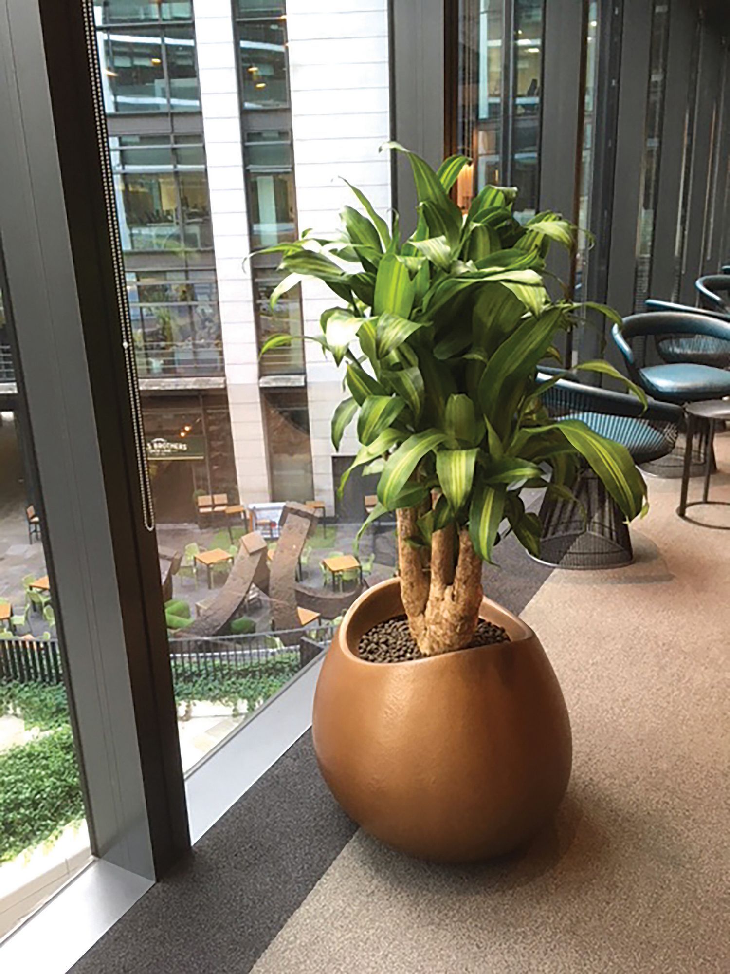 Kolumbo Planter