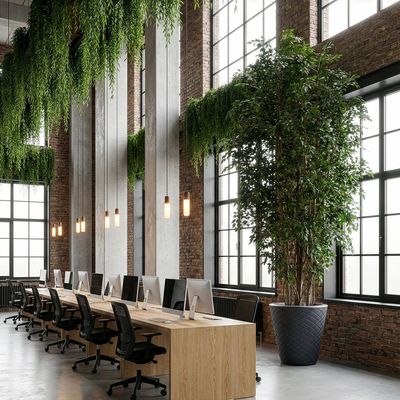 Large Artificial Ficus Tree 450cm Large Artificial Ficus Tree 450cm