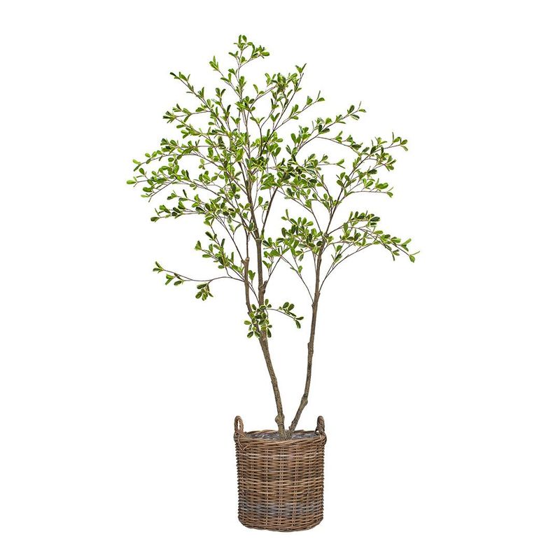 Artificial Bucida Tree in Oxford Basket 150cm