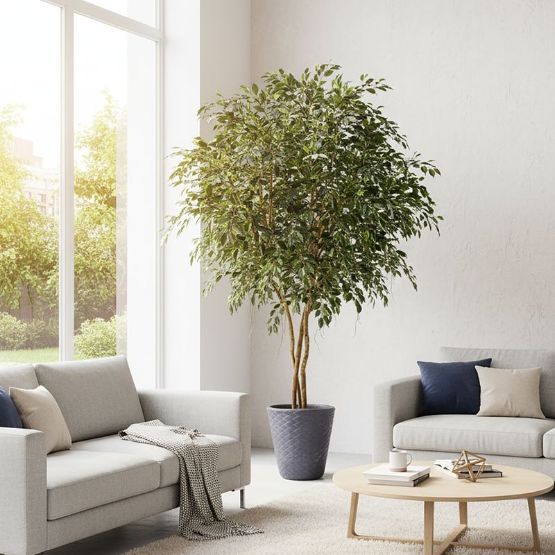 Artificial Ficus Exotica 300cm(pot not incl.)