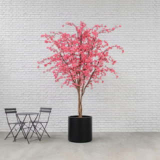 Large Cherry Blossom Tree 300cm FR