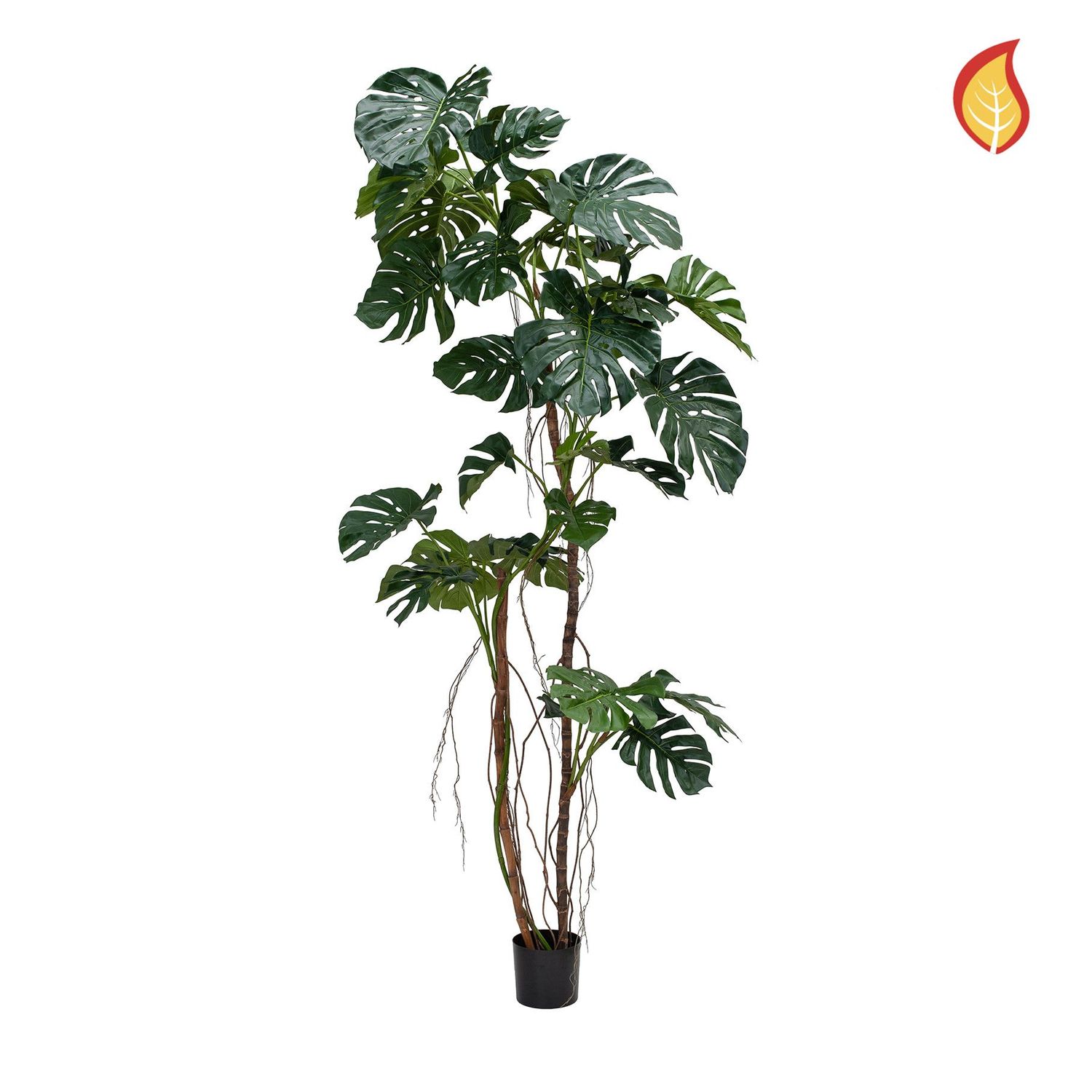 Large Split Philo Plant 250cm