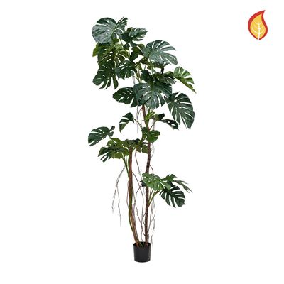 Large Split Philo Plant 250cm