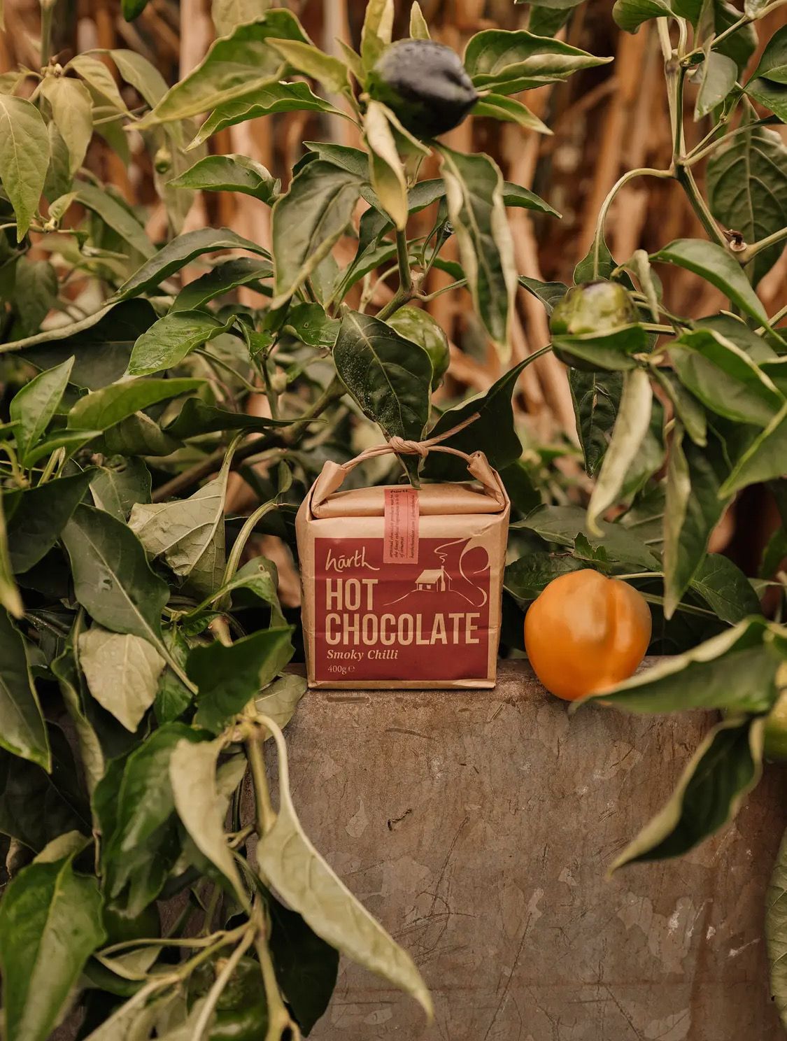 Hot Chocolate – Smokey Chilli.