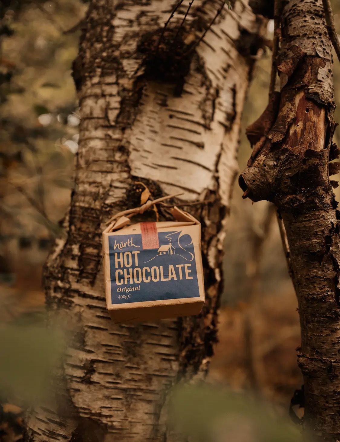 Hot Chocolate – Original