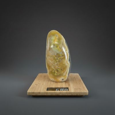Statement Stener