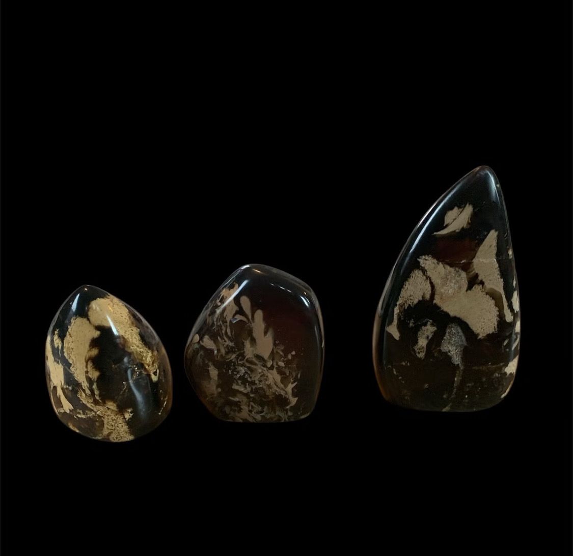 Forsteinet tre – unik dekorstein (Indonesia)