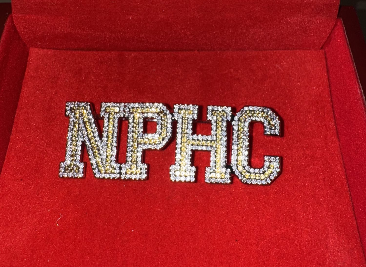 NPHC Gold &amp; Silver Rhinestone Pin