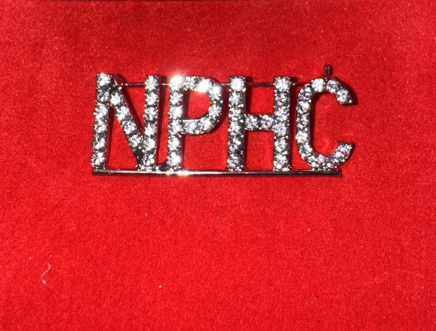 NPHC Sleek Bar-Set Pin