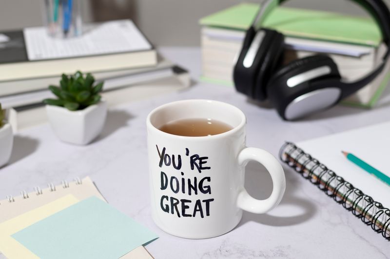 YOU'RE DOING GREAT MUG