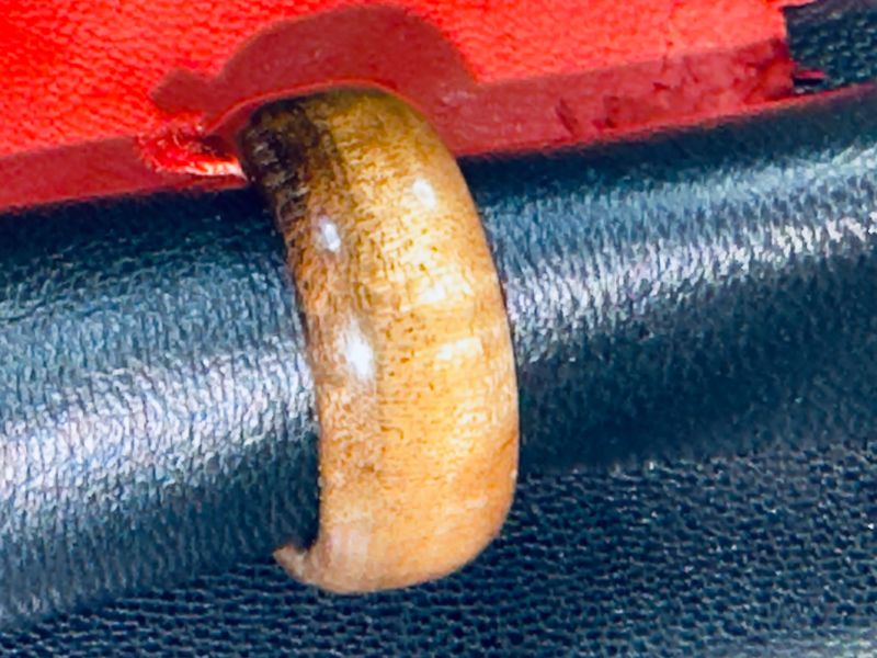 Bagues en bois taille 55 Bagues en bois taille 55