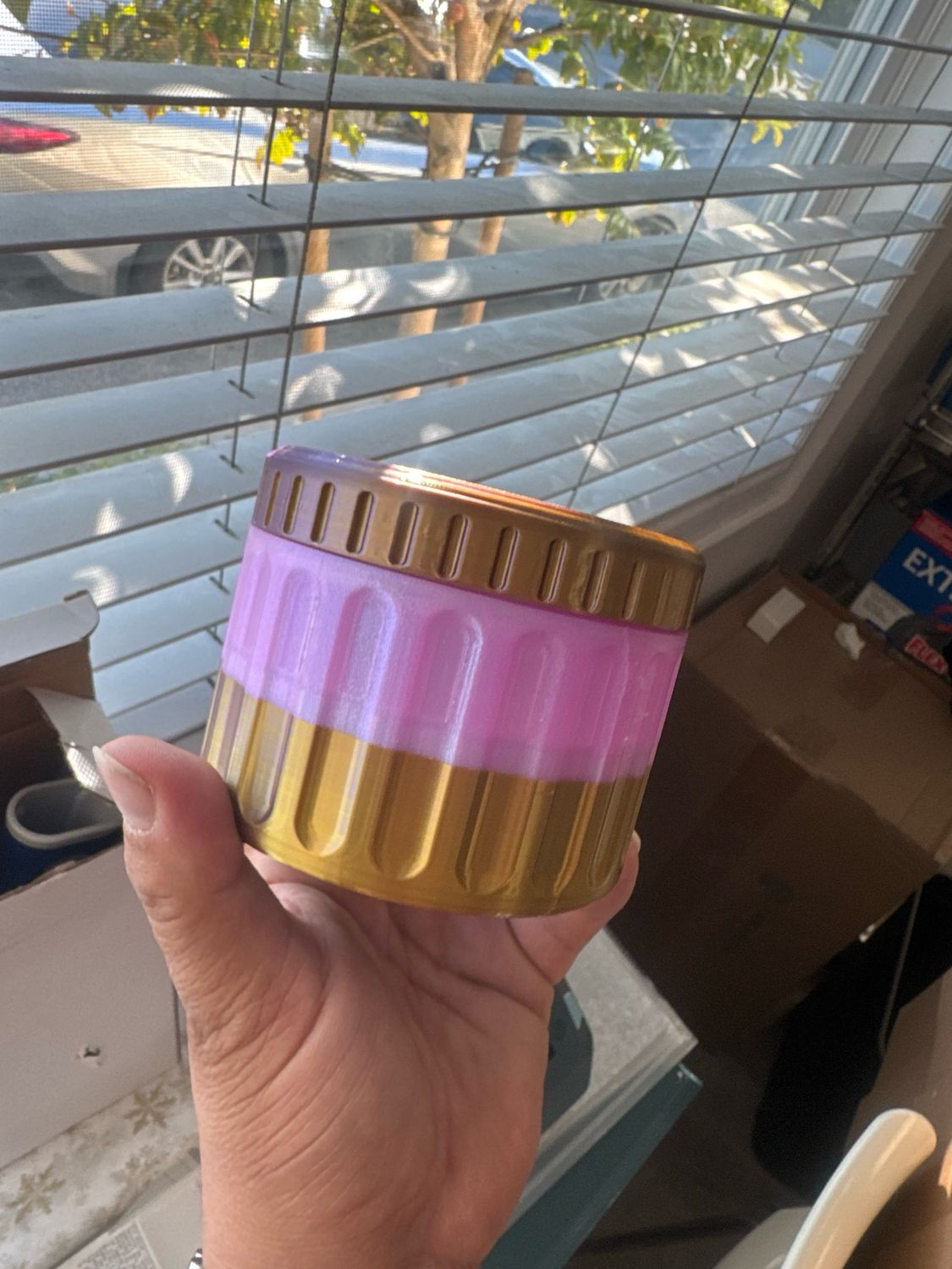 Frankenstein 3D Case