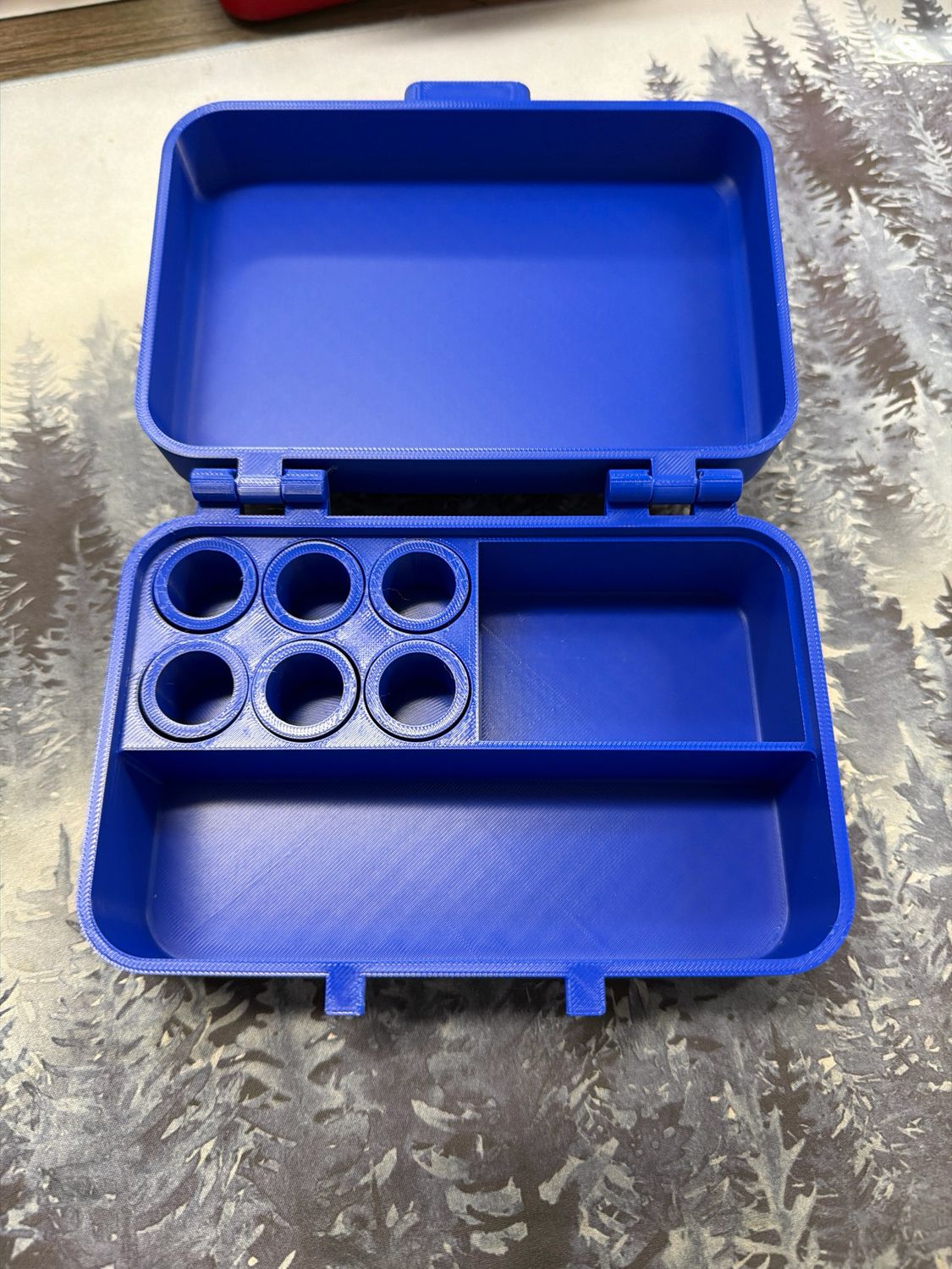 Blue Case Medium Size