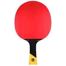 Sanwei Bravo Bee Bat
