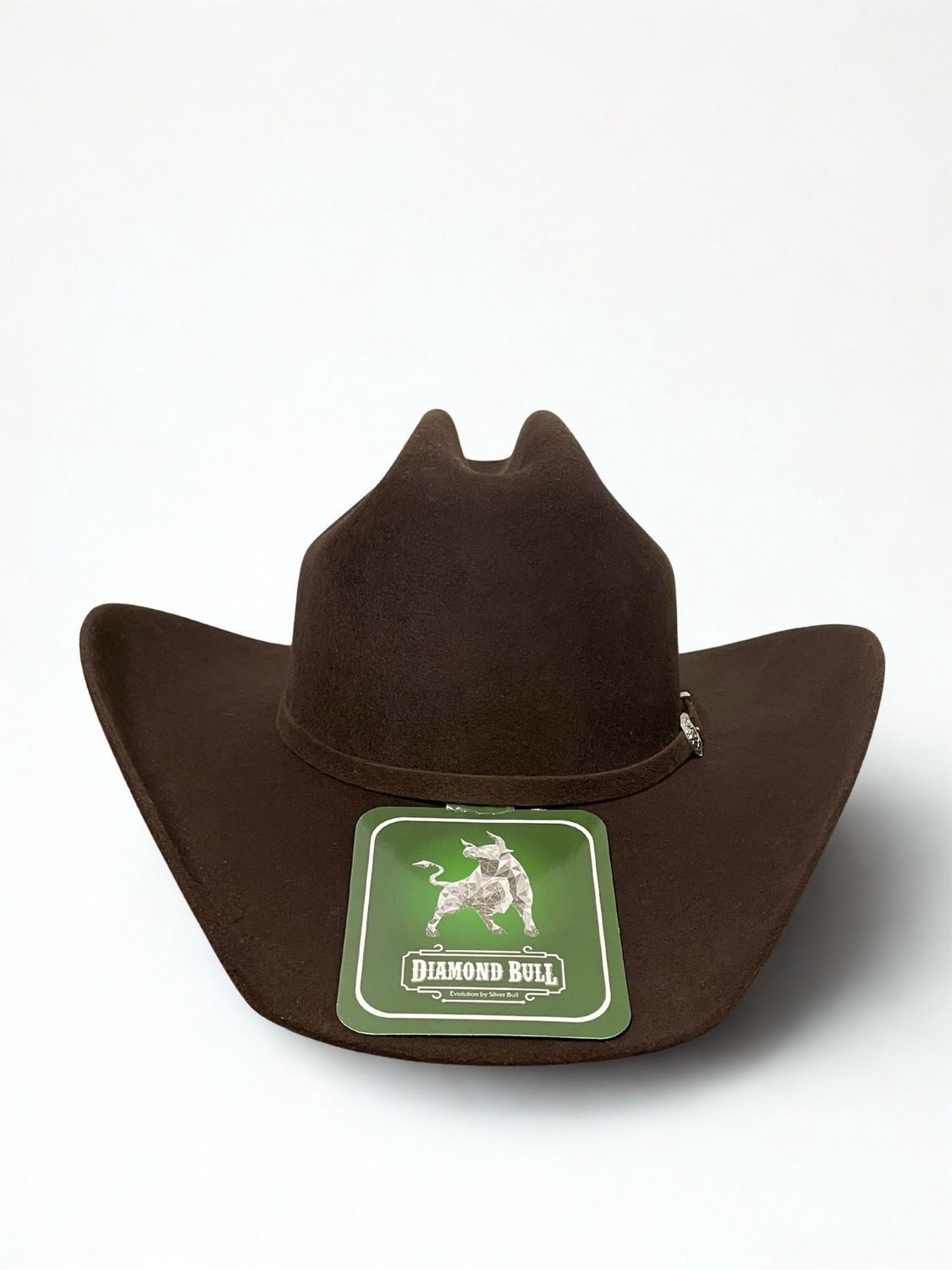 100X Diamond Bull Felt Hat