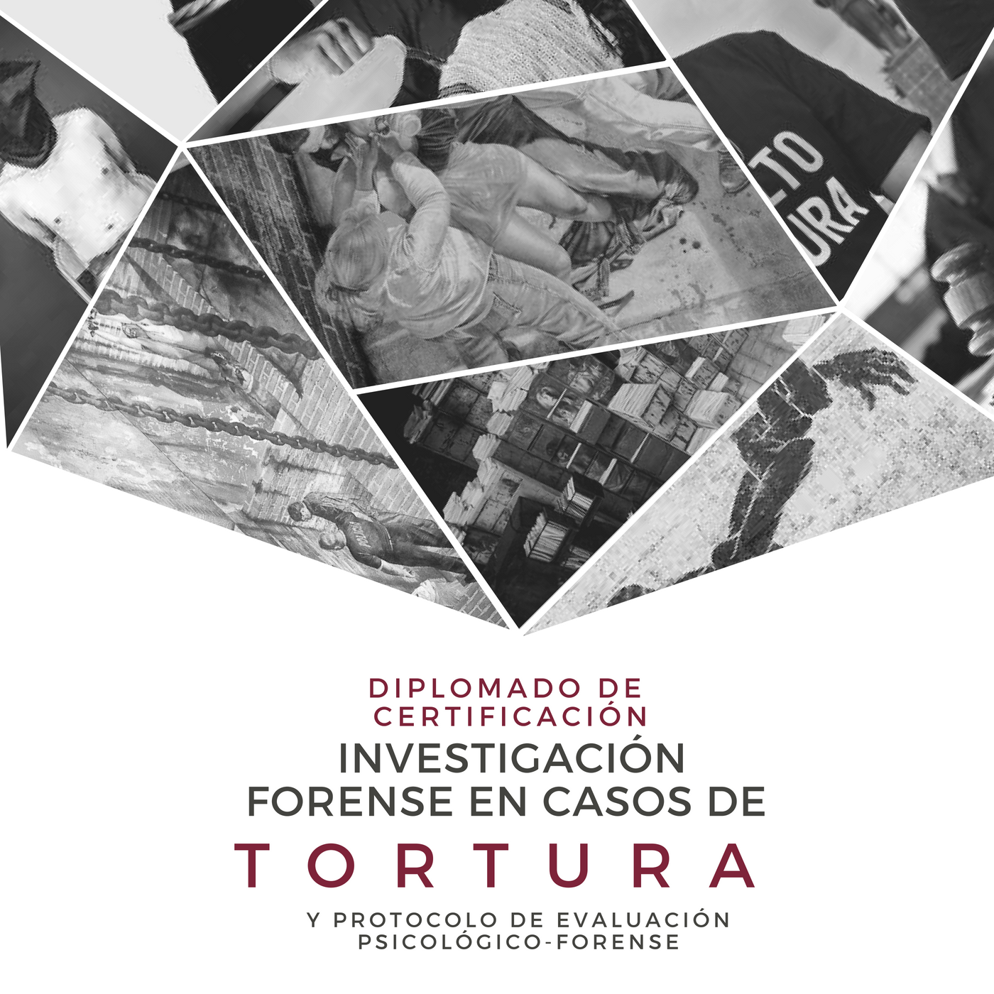 Professional Diploma - Forensic Assessment of Torture (profesionales)