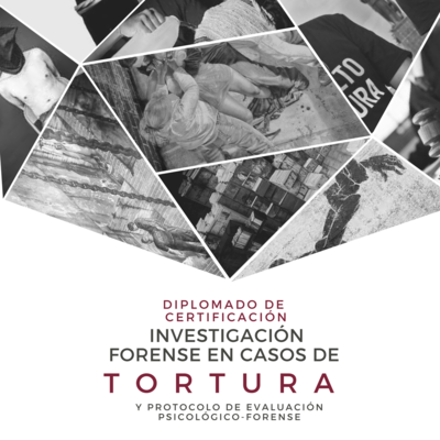 Professional Diploma - Forensic Assessment of Torture (Miembros de ONGs)