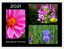 2021 Calendar - botanical