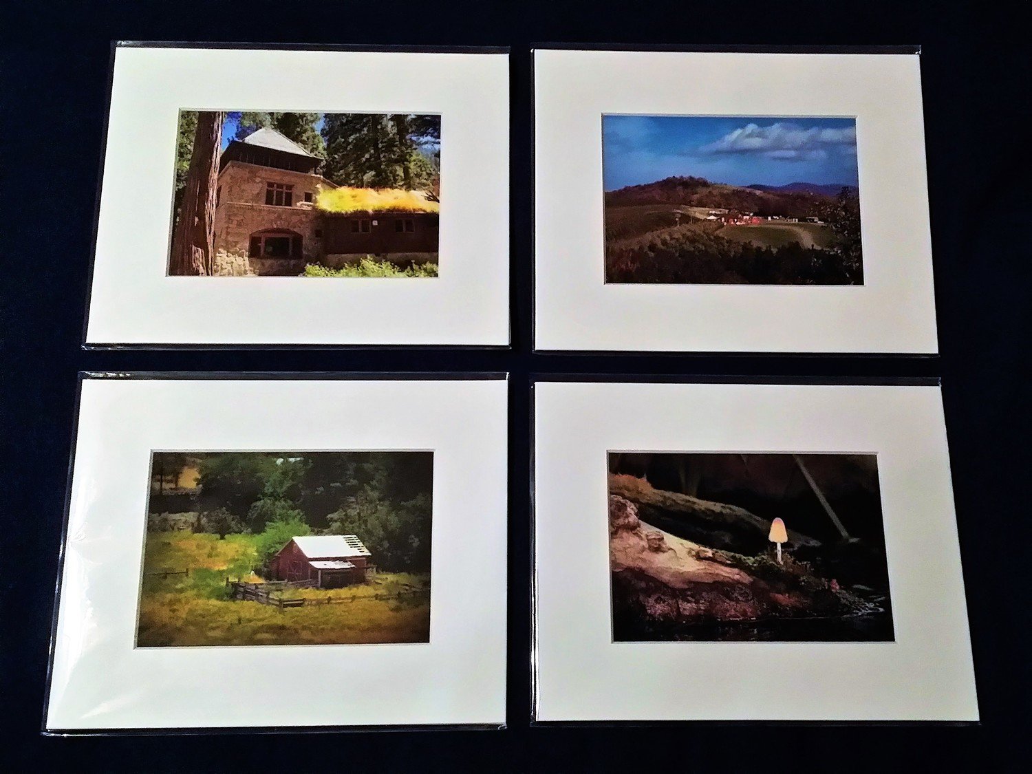 Matted 5x7 print - please specify which print