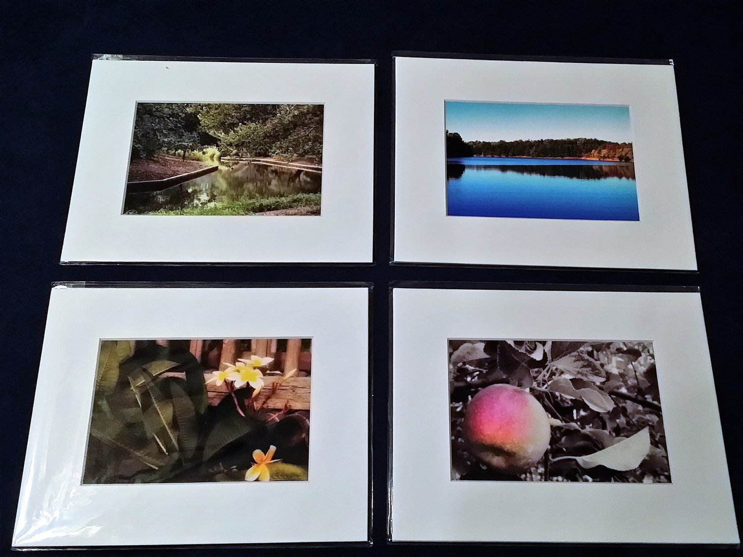 Matted 5x7 prints - please specify which print