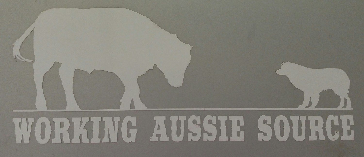 Working Aussie Source Logo Sticker