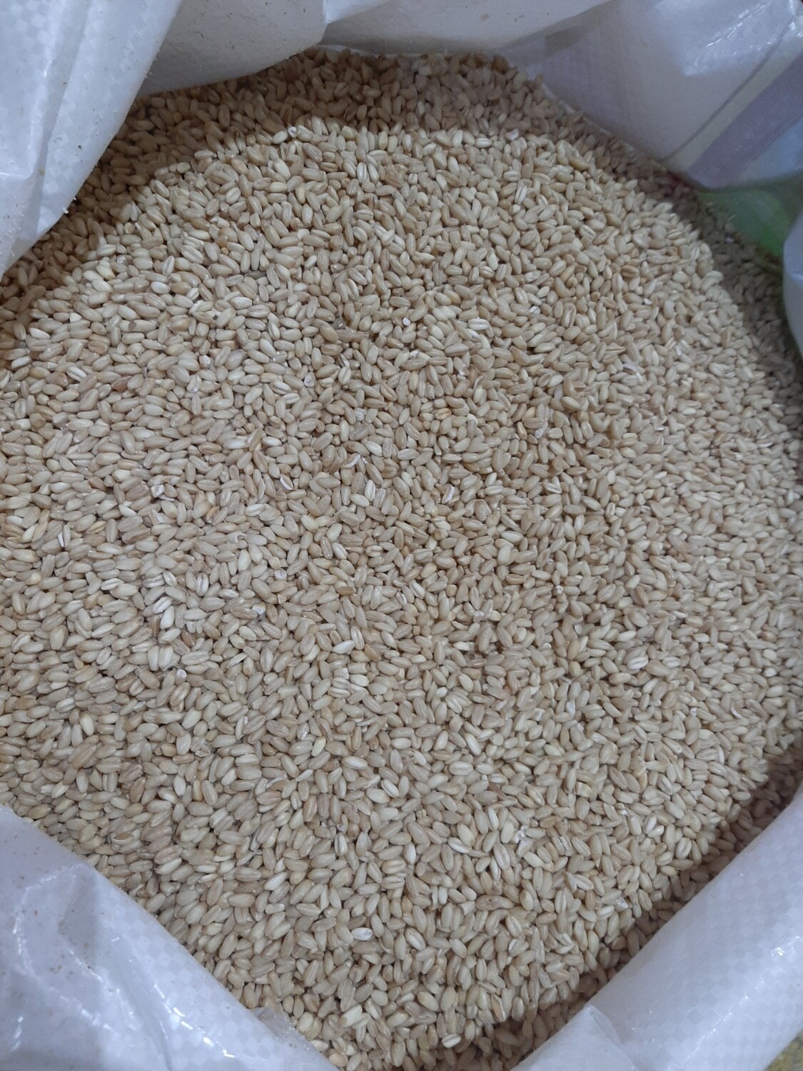 Grurë