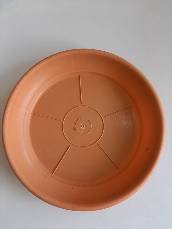 Pjate plastike 25cm